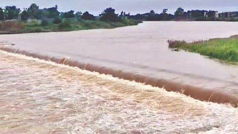 Sangli Rain update