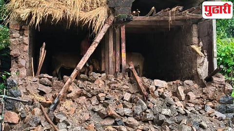 cattle shed collapse Morsade