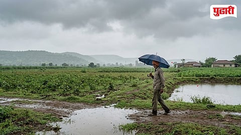 Maharashtra Weather Forecast