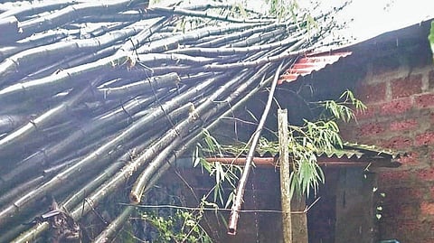 Ratnagiri rain updates