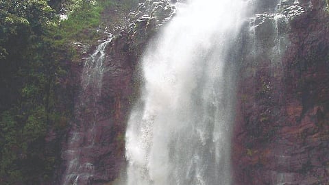 Chandoli Waterfall