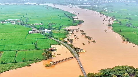 कोल्हापूर : जिल्ह्यात सर्वत्र  पावसाने उसंत घेतल्‍याने नद्यांचे पाणी हळूहळू ओसरू लागले आहे. तरीही प्रयाग चिखली परिसरातील शेतात पंचगंगेचे पाणी मोठ्या प्रमाणात पसरले आहे. गुरुवारी ड्रोनव्‍दारे टिपलेले छायाचित्र.