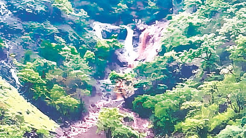 Mahabaleshwar Rain | महाबळेश्‍वरात पावसाची ‘शंभरी’: जोर ओसरला, १००.८० इंच नोंद 
