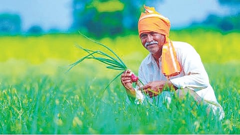 kolhapur | 