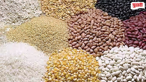 Kharif Seeds