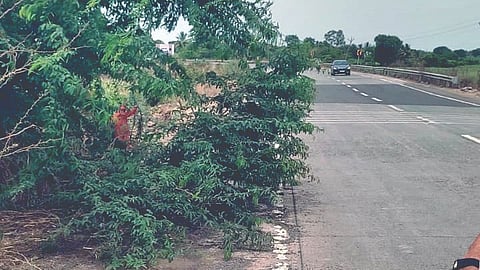 Vita-Karad Road