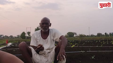 Soybean Seed Failure | हिमायतनगरात सोयाबीन बियाण्यांची उगवणी नाही; शेतकऱ्यांकडून चौकशीची मागणी