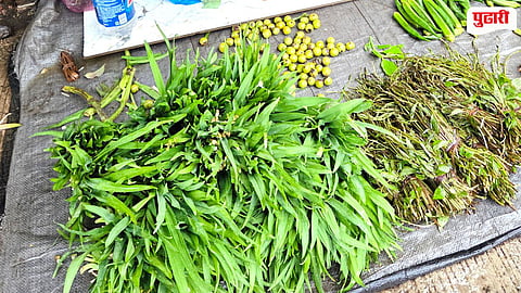 Vikramgad Wild Vegetables