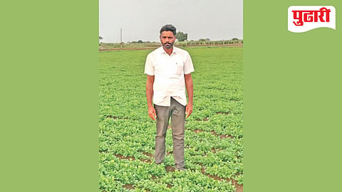 Latur agriculture