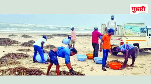 करमणे ग्रामपंचायतीतर्फे राबविण्यात आलेली स्वच्छता मोहीम.