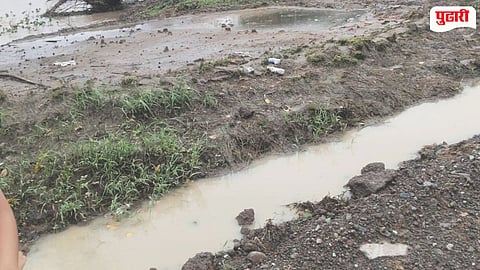 Pen Rain Damage Salt Farms
