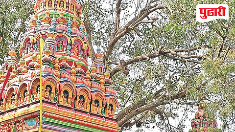 Tuljapur land acquisition