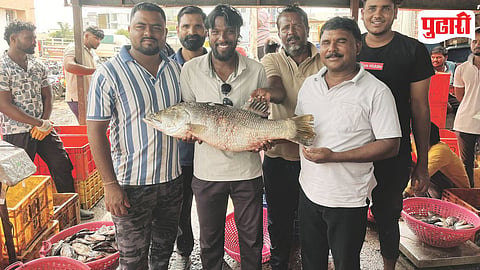 Ujani Dam Jitada Fish
