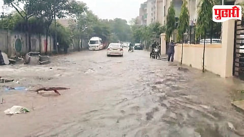 Moshi Gharkul STP Water Problem