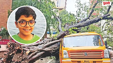 Chembur School Bus Tree Collapse