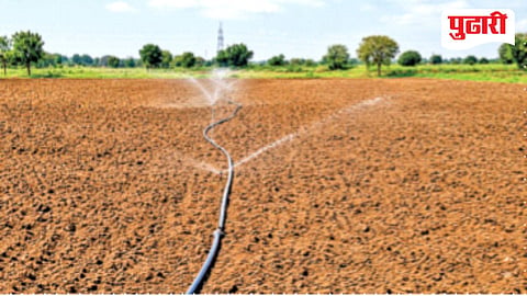 Jalna agriculture news