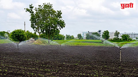 Sprinkler Irrigation| "कोवळ्या पिकांना जीवदान देण्यासाठी तुषार सिंचनाचा आधार! येवल्यात दमदार पावसासाठी शेतकऱ्यांच्या आकाशाकडे नजरा"