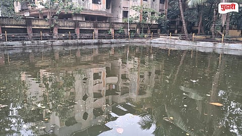 Lake Cleaning