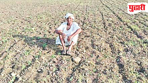 Jalna Agriculture News