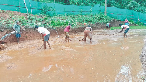 Sindhudurg News