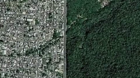 Manaus City : मधोमध सरळ रेषा अन् एका बाजूला थेट अमेझॉनचे जंगल; काय आहे या अजब शहराचे सत्य?
