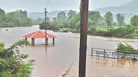 Ratnagiri Rain update