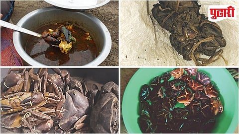 Maval Black Crab