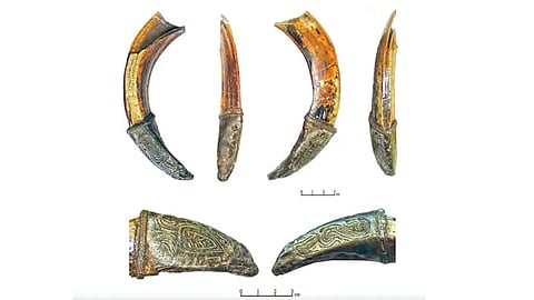 Ornate Boar's Tusks | 