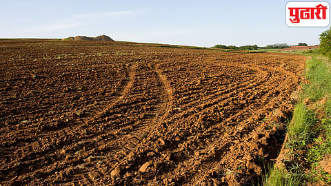 Land