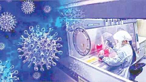 Influenza Virus 