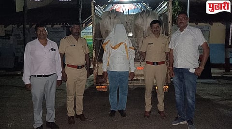 Akola Crime 