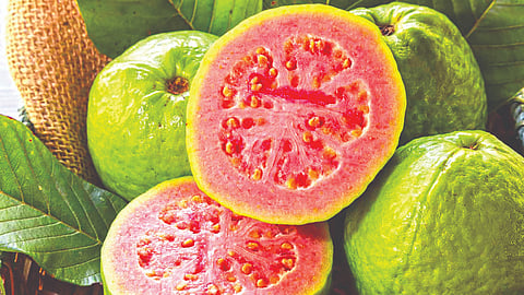 Guava benefits