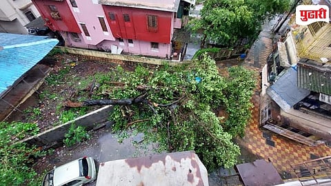 Trees Uprooted Badlapur 