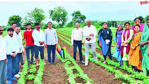 Organic Farming
