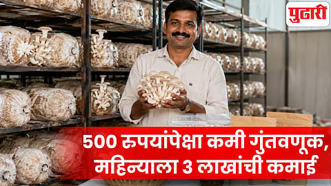 Mushroom Farming Business