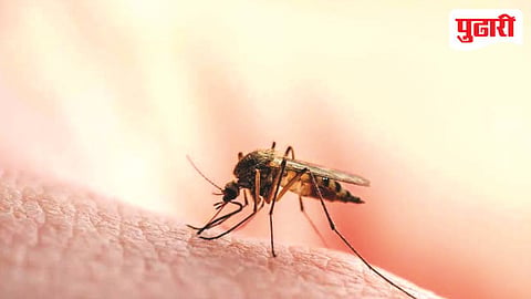 Public health crisis