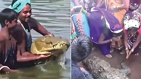 Chhattisgarh | 