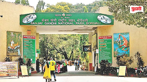 Borivali National Park