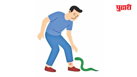 Jalna snake bite cases