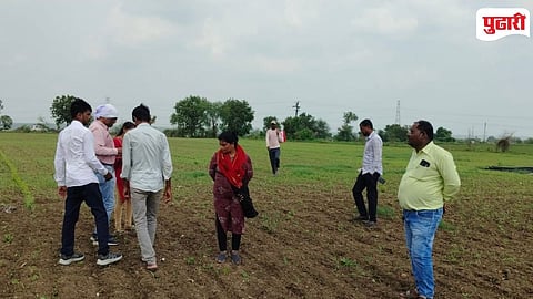 Chandrapur Soybean Seed Failure