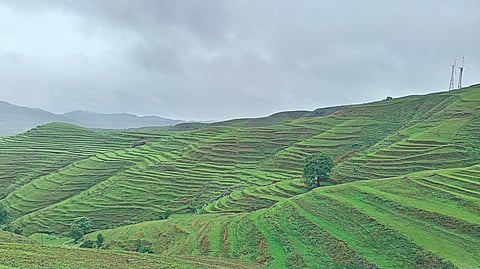 Sangli Tourism