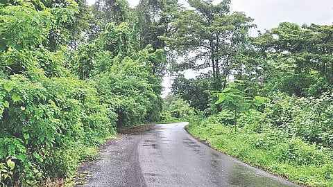 Sindhudurg News