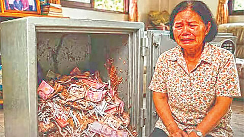 Termites Destroy Cash |