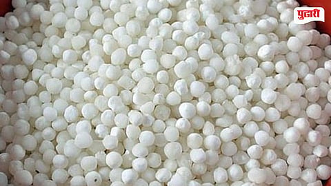 Sabudana Demand