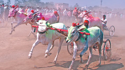 Bendur Festival 