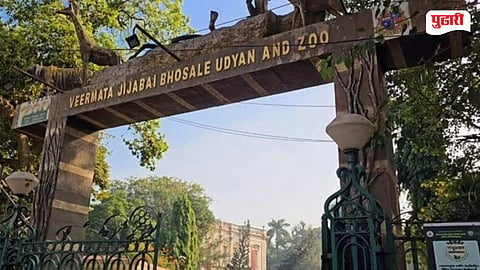 Mumbai Zoo News