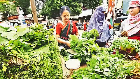 Leafy Vegetable