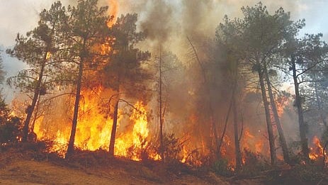 Spain France Wildfire |