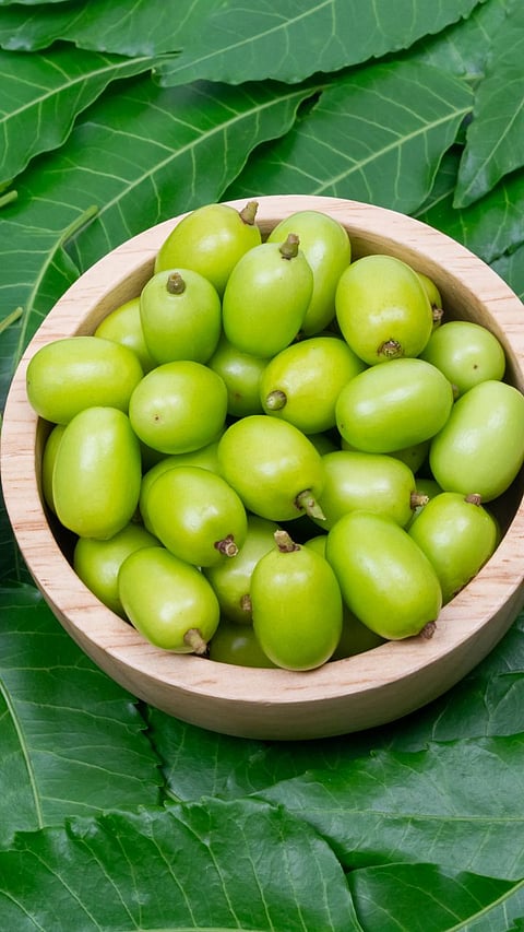 Neem Fruit Benefits