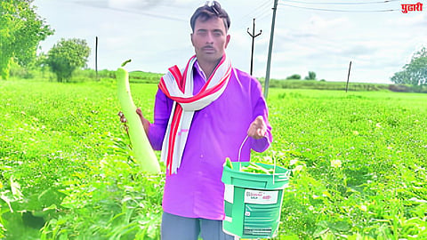 Vegetable prices